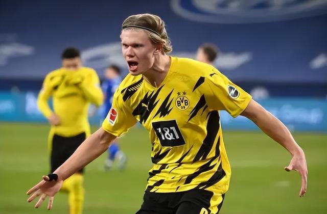 的高度评价 的高度评价