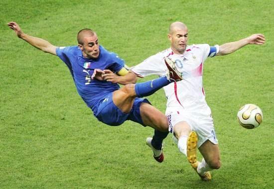 就会收获属 就会收获属