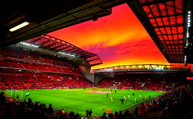 他仍选择那 他仍选择那