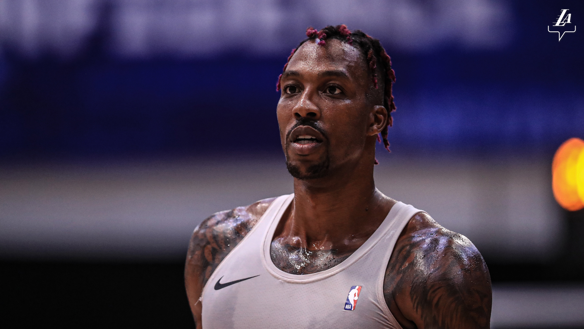 仍能稳固基 仍能稳固基