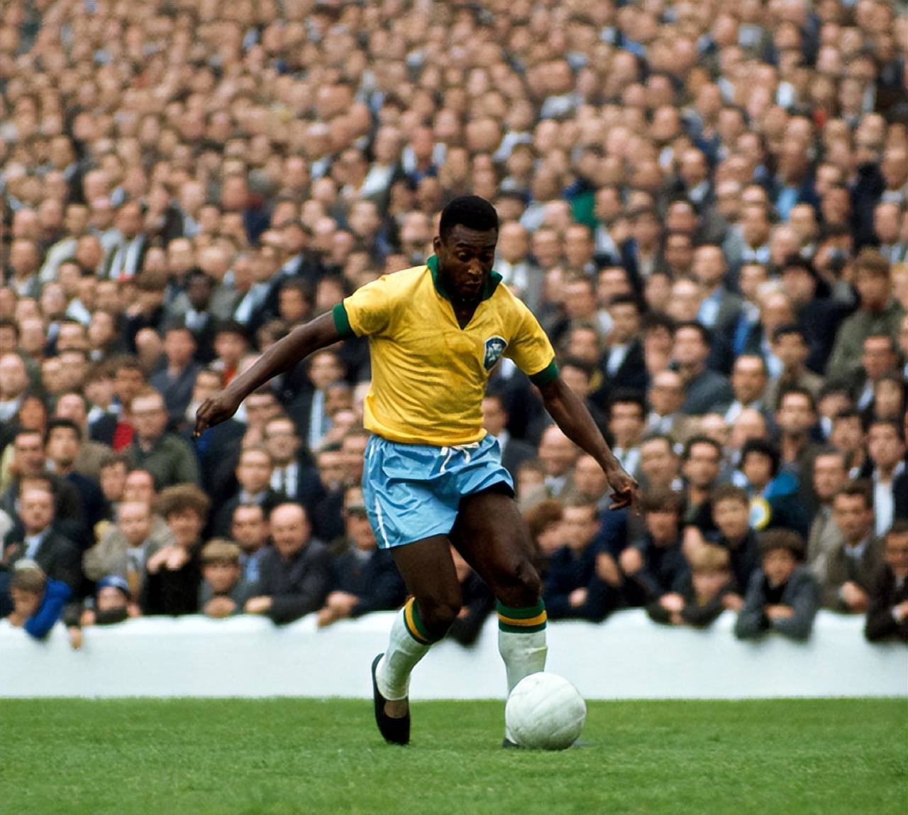 丛林差距 丛林差距