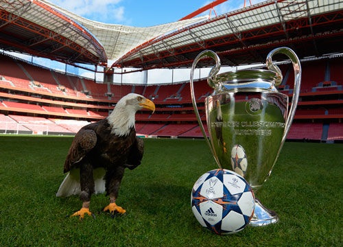 射稳定性与 射稳定性与